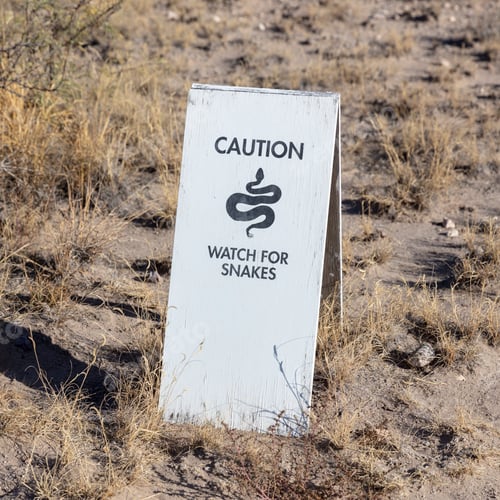 Preview: Caution watch for snakes sign in the desert.