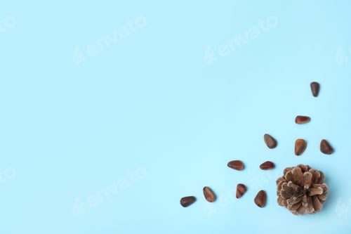 Preview: Flat lay composition with pine nuts and space for text on color background