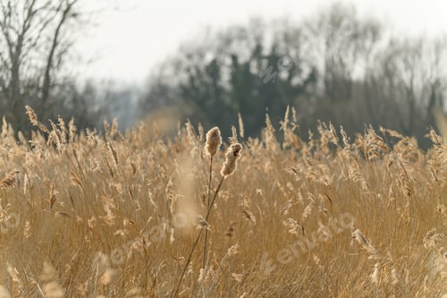 Preview: winter neutrals blowing in the spring breeze