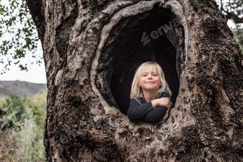 Preview: Portrait of young boy, sitting in hollow of tree, smiling