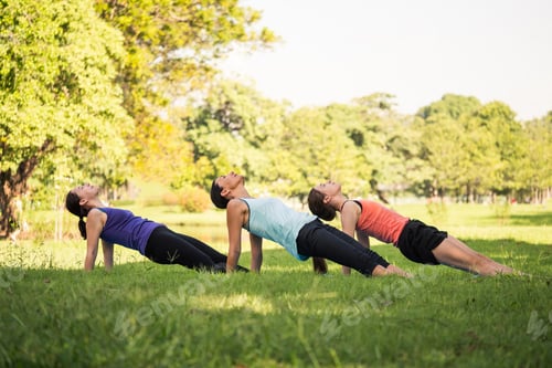 Preview: Group of women doing yoga exercises in the park. Concept of healthy lifestyle.