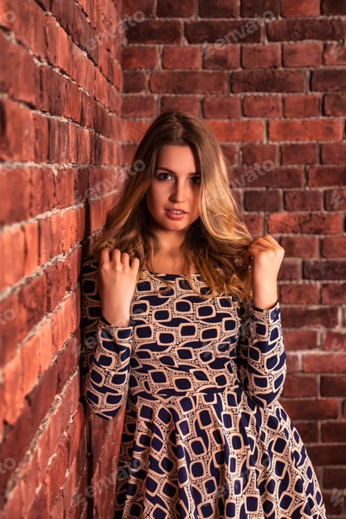 Preview: Girl in Patterned Dress Against the Brick Wall on a Gloomy Day