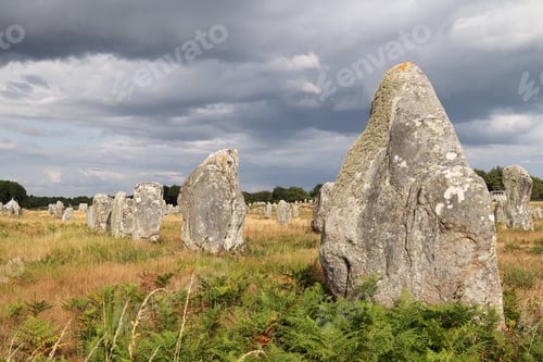 Preview: Carnac Stones - Rows of Menhirs