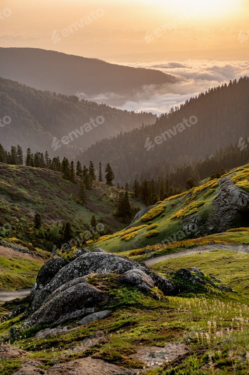 Preview: Mountain landscape with blooming plants, sunrise or sunset and clouds in the background