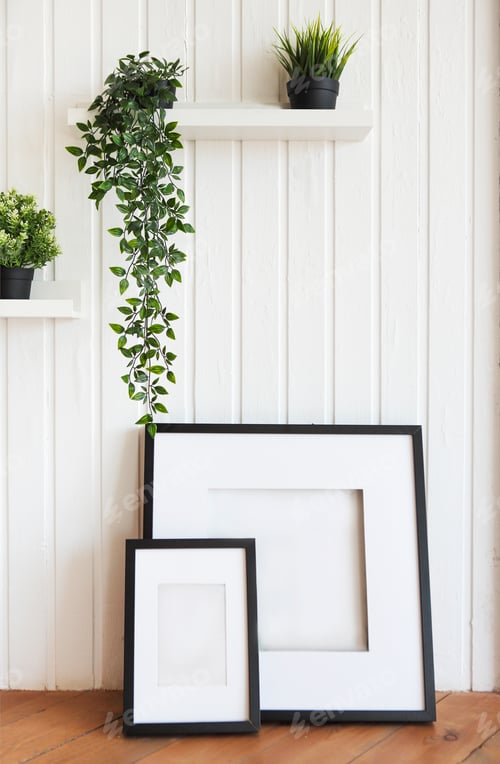 Preview: Plants on white shelves on white wall in the room