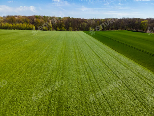 Preview: Agricultural fields, countryside. A shot from above. Farmers field.