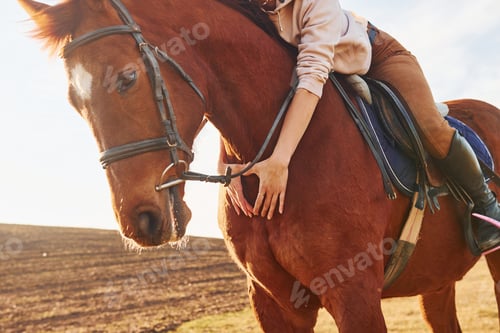 Preview: Young woman in protective hat with her horse in agriculture field at sunny daytime