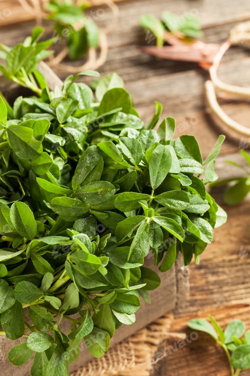 Preview: Raw Organic Fenugreek Methi Leaves