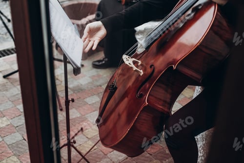 Preview: musician playing on contrabass at luxury wedding reception