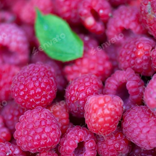 Preview: raspberries