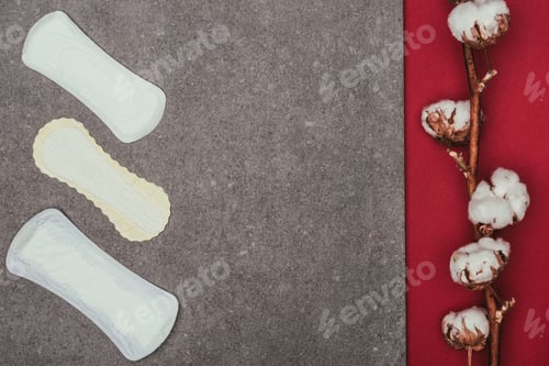 Preview: top view of arranged menstrual pads and cotton twig