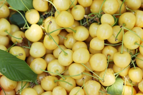 Preview: Fresh ripe cherries. Food background.