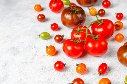 Preview: Fresh organic various tomatoes.