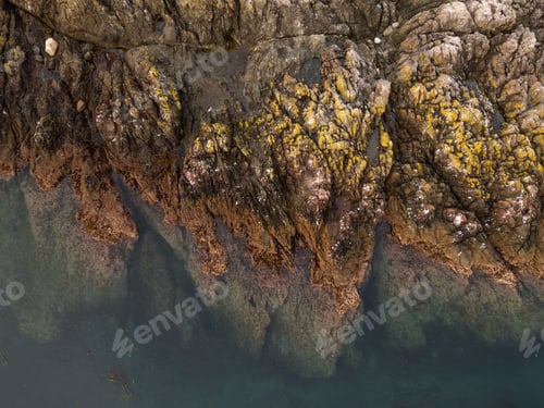 Preview: Rocky Coastline on Vancouver Island at the Water's Edge