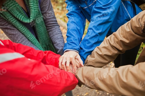 Preview: Team of friends showing unity with a handsin gesture in the woods