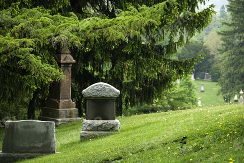 Preview: Wide angle shot of a grave on a green landscape surrounded by trees