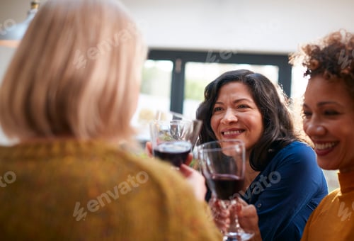 Preview: Group Of Mature Female Friends Meeting At Home To Talk And Drink Wine Together
