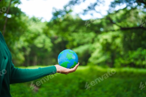 Preview: A male hand holds a hammer, symbolizing the enforcement of tree conservation laws. This highlights