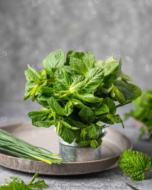 Preview: Fresh Mint Leaves and Herbs in a Dish