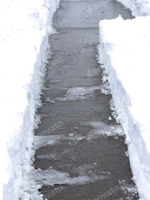 Preview: Freshly Shoveled Pathway Leading Home in a Snowy Neighborhood