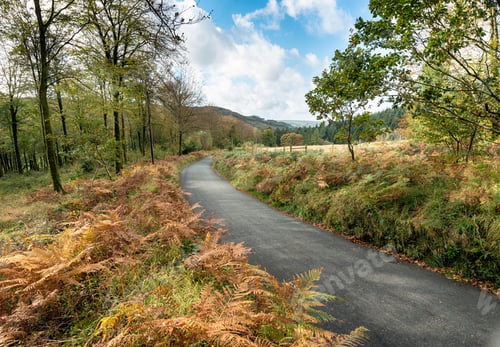 Preview: Country Lane