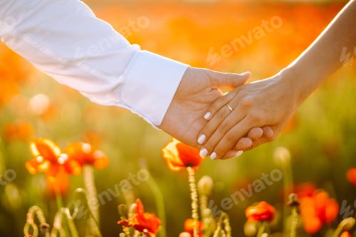 Preview: Holding hands of happy young couple having fun in poppy field. Love. Together