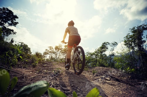Preview: Woman cyclist cycling on mountain top forest trail
