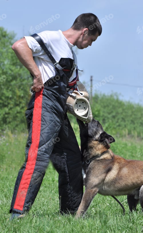 Preview: Dog Training