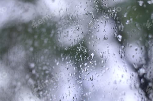 Preview: A photo of rain drops on the window glass with a blurred view of the blossoming green trees