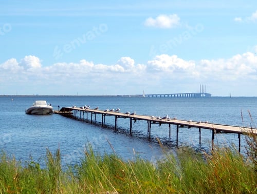 Preview: Seagulls on the little pier, and a modern bridge connecting Denmark and Sweden on a summer day