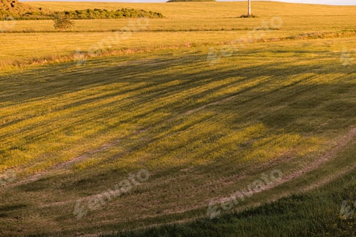 Preview: A sunset field with tractor wheel tracks, used for agricultural purposes
