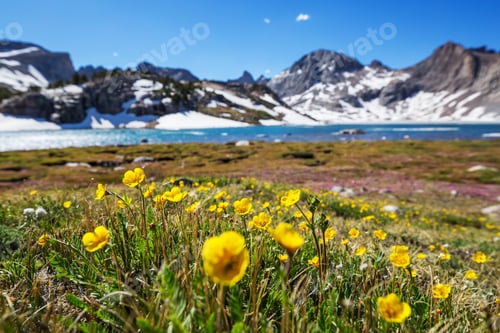 Preview: Mountains meadow