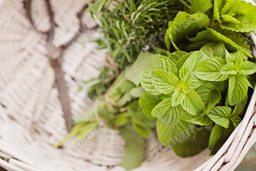 Preview: Herbs