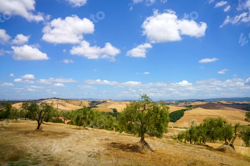 Preview: Rural landscape in Val d Orcia, Tuscany, Italy