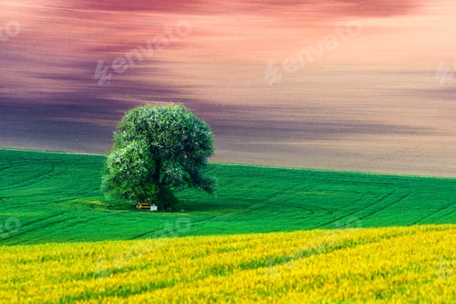 Preview: Abstract rural landscape with field and tree