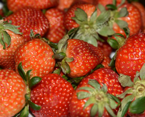 Preview: Strawberry