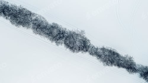 Preview: Aerial view of a snowy forest