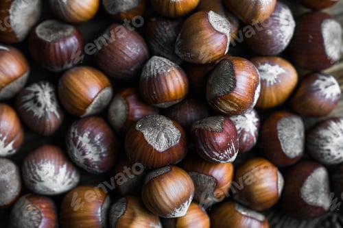 Preview: Huzelnut background. Hazelnuts in shell stacked in a heap shot from above closeup