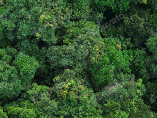 Preview: Aerial view of beautiful tropical forest mountain landscape