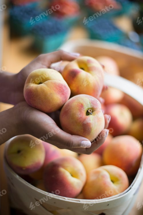 Preview: Organic fruit displayed on a farm stand. A person holding hands full of peaches.
