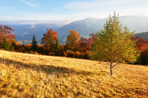 Preview: Autumn in mountain, amazing landscape