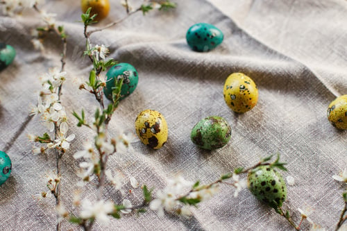 Preview: Stylish easter eggs and blooming cherry flowers on rustic table. Happy Easter!