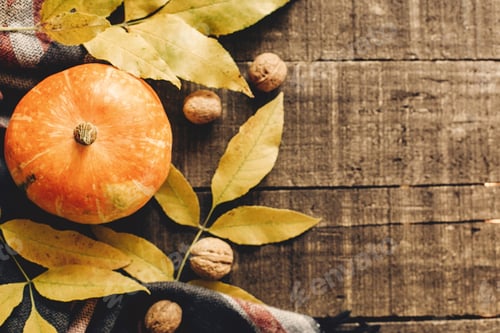 Preview: Pumpkin with leaves and walnuts on stylish scarf top view