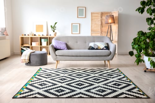 Preview: Modern living room interior with stylish sofa and carpet