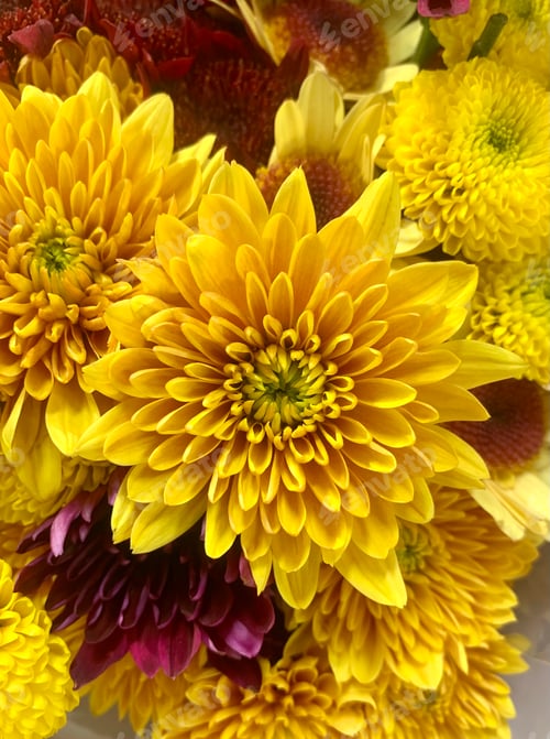 Preview: Fall and autumn colors of yellow moms and other assorted flowers in arrangement