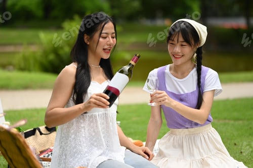Preview: Cheerful female friends having a picnic in the park and drinking red wine.