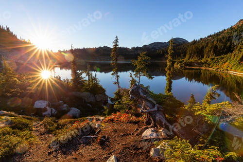 Preview: Nature in Whistler, British Columbia, Canada
