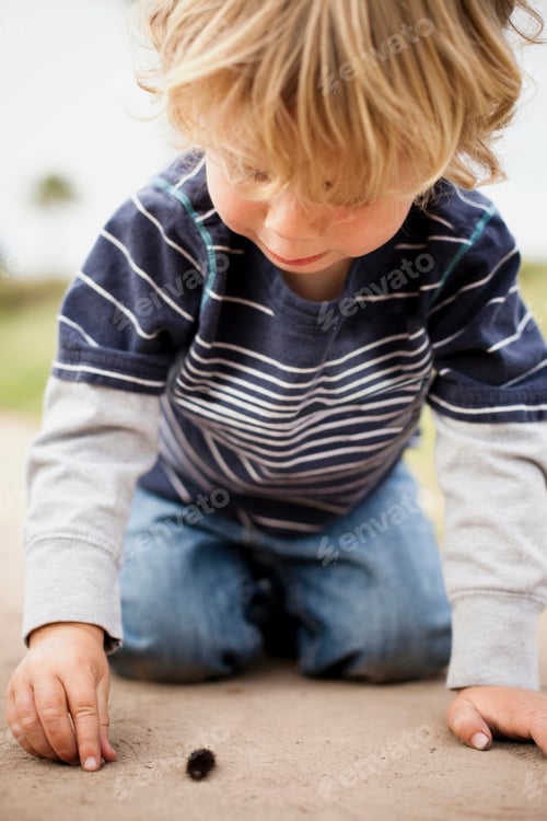 Preview: Young Child Exploring a Natural World on Ground