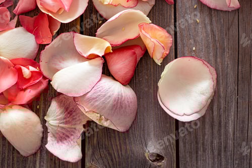 Preview: Rose Petals Displayed on a Rustic Wooden Surface