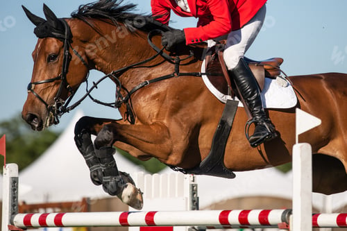 Preview: Horse Jumping, Equestrian Sports, Show Jumping event themed photograph